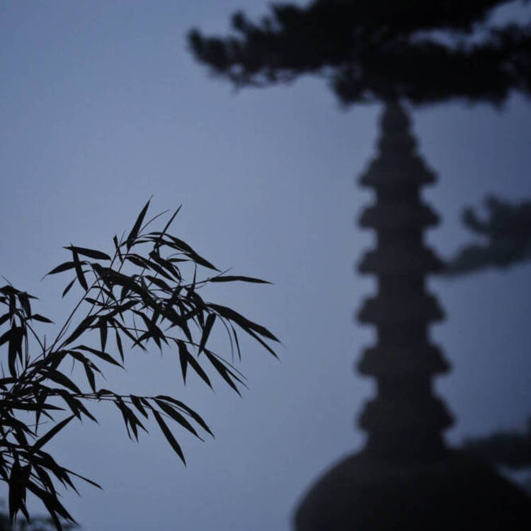 神谷熏（身份：神谷活心流代理师父、女主角） - 无广告纯净版在线观看 - 手机观影